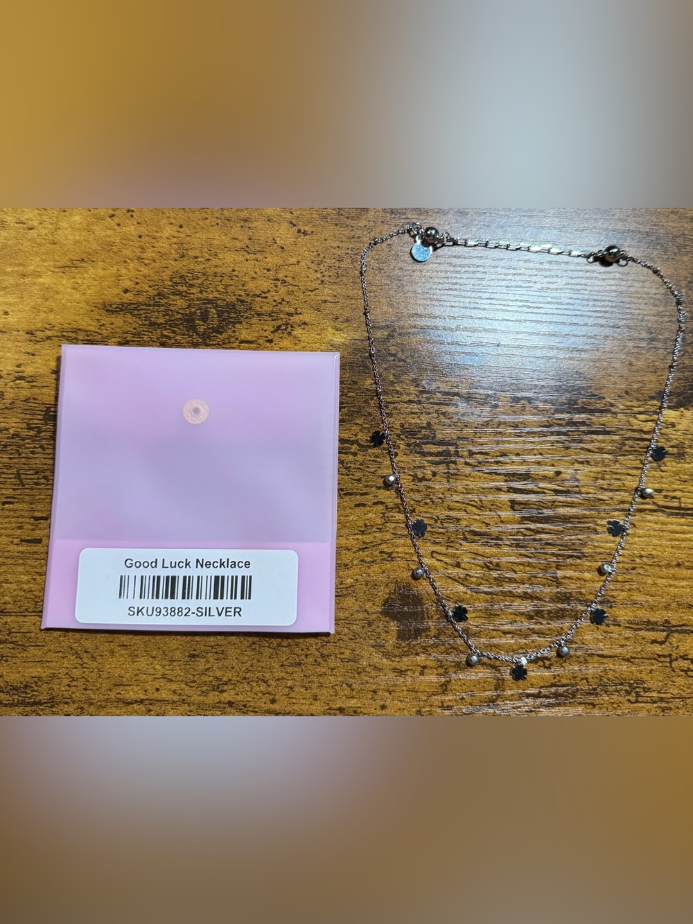 By Alexa Rae Necklace good luck silver